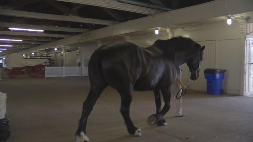 Kentucky Horse Park, campgrounds reopen (LEX 18)