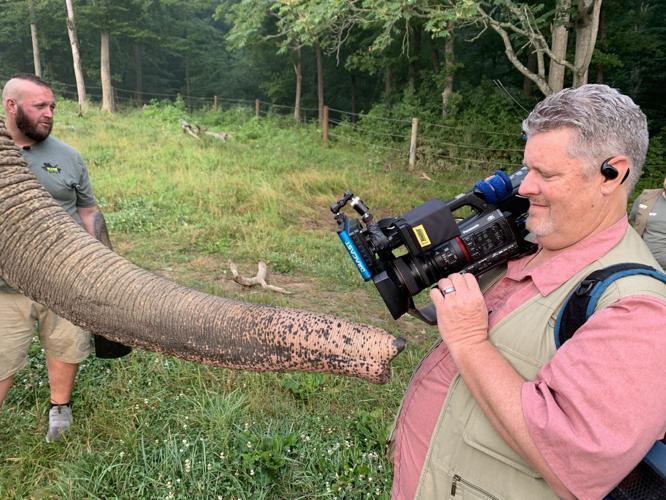 Wilstem Wildlife Park