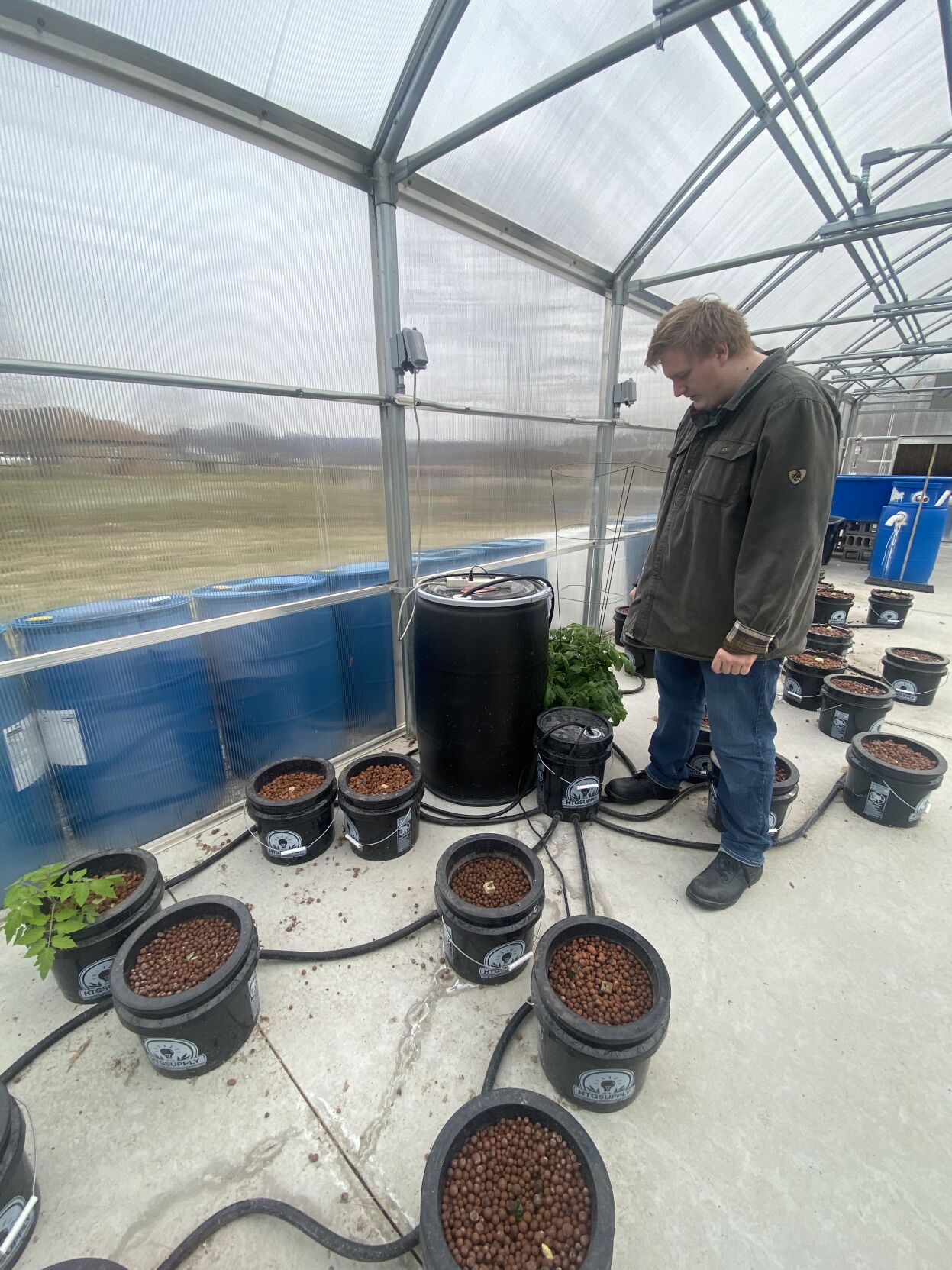 CARROLL COUNTY HIGH SCHOOL - HYDROPONICS GREENHOUSE - COURTESY  (1).JPG