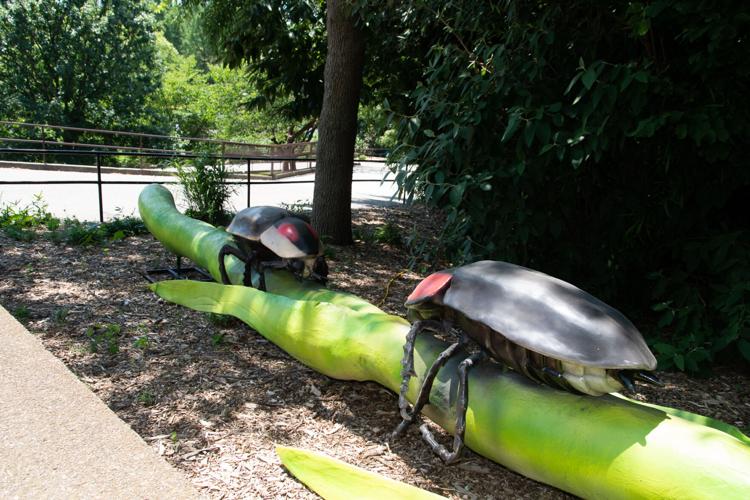 Bugs at the Louisville Zoo