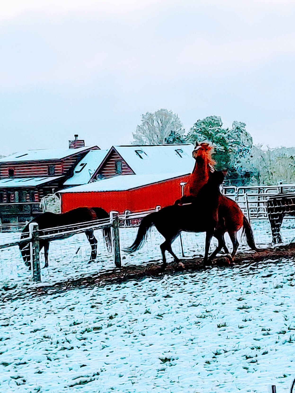 Horses in Snow.jpg