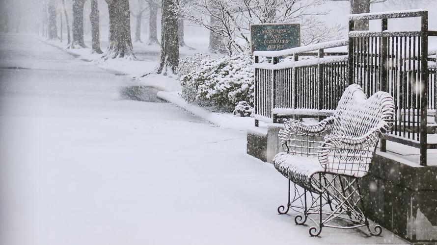 Snow in Louisville-1-27-21-Eric Crawford (4).jpg
