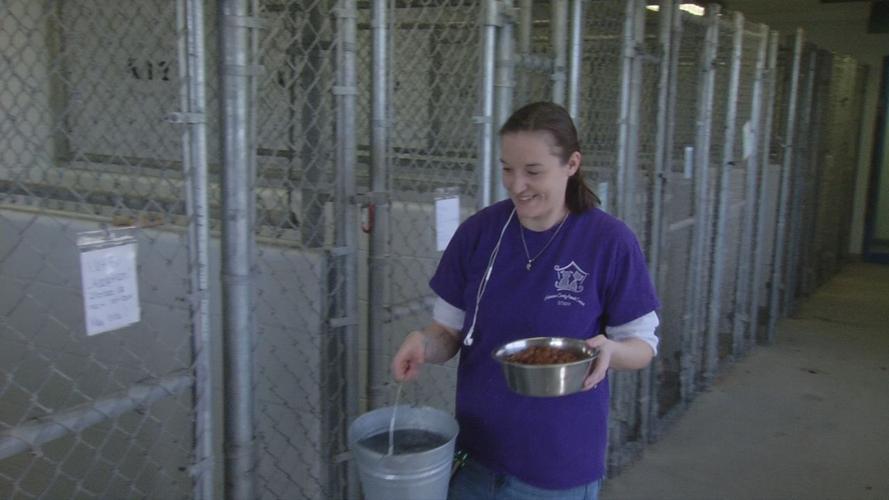 Employee of Harrison County Animal Shelter 2-26-19