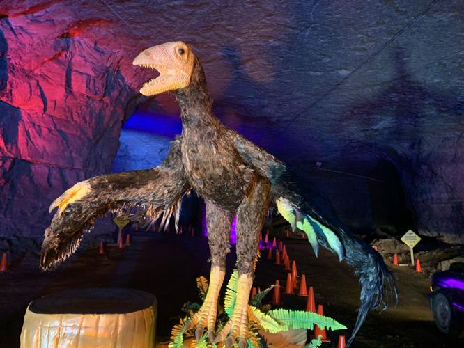 DINO SAFARI - MEGA CAVERNS 4-13-2021  (3).jpg