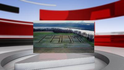 Prom question in field.jpg