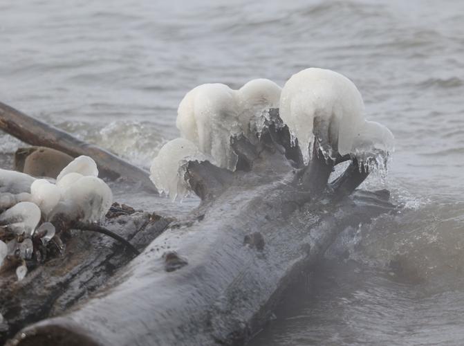 Ice on an Ohio River log.JPG