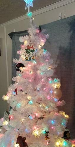 Knight-Clement's tree