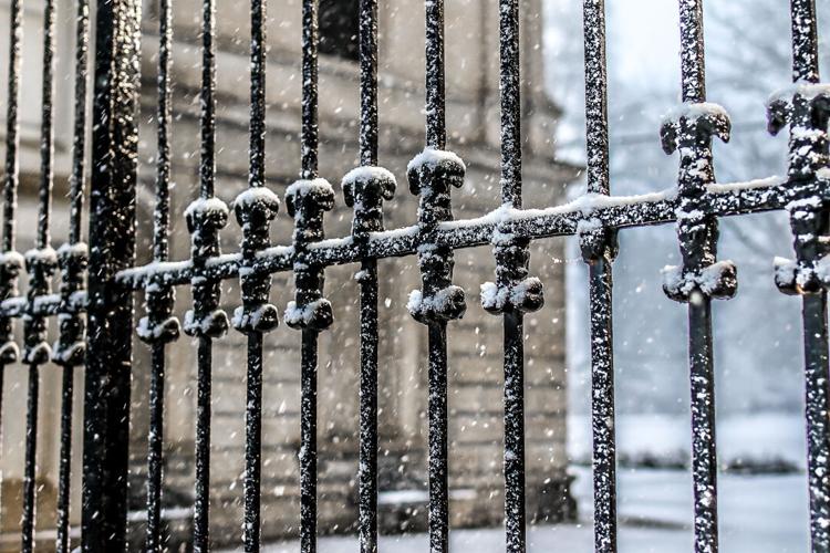 Snow in Louisville-1-27-21-Eric Crawford.jpg