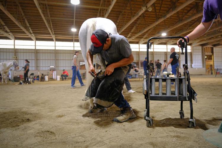 Derby City Classic Horseshoeing competition - 9.14.24