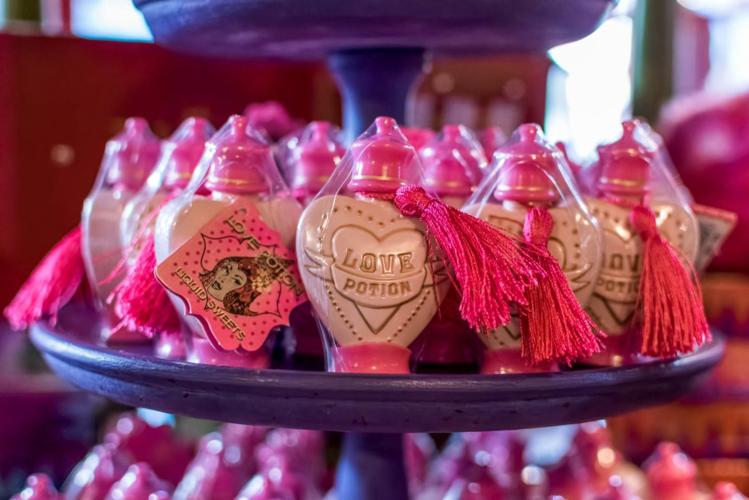 A WIZARDS CHRISTMAS - COMING TO THE LOUISVILLE ZOO  COURTESY FACEBOOK  (1).jpg