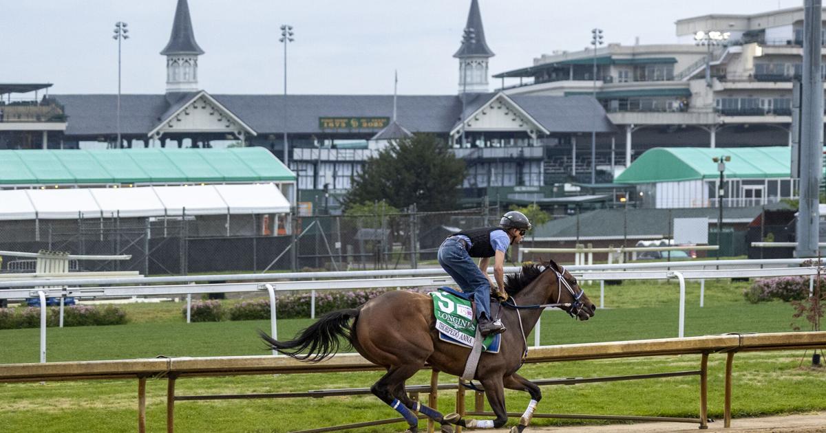 Thorpedo Anna to get follow-up at Rood & Riddle Equine Hospital after ...