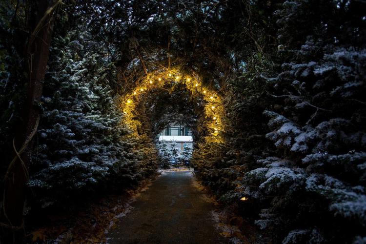 A WIZARDS CHRISTMAS - COMING TO THE LOUISVILLE ZOO  COURTESY FACEBOOK  (2).jpg