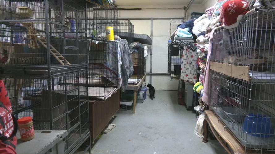 Oldham County Animal Shelter