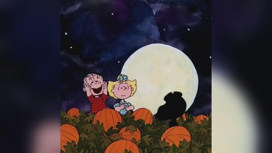 It's the Great Pumpkin Charlie Brown.jpeg