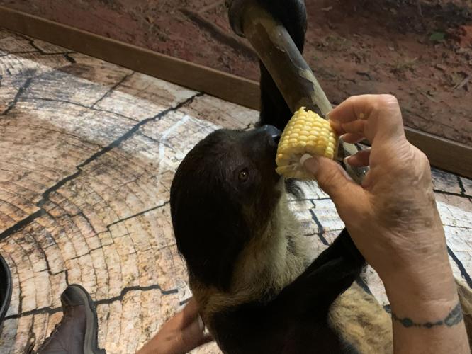 Wilstem Wildlife Park (69).JPG