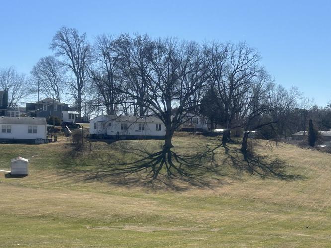 Search area for Andrea Knabel - 2.28.26