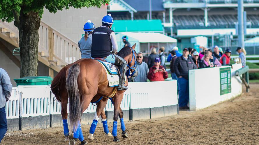 Training - By My Standards