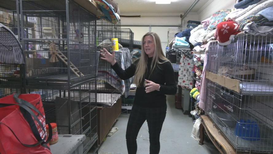 Oldham County Animal Shelter