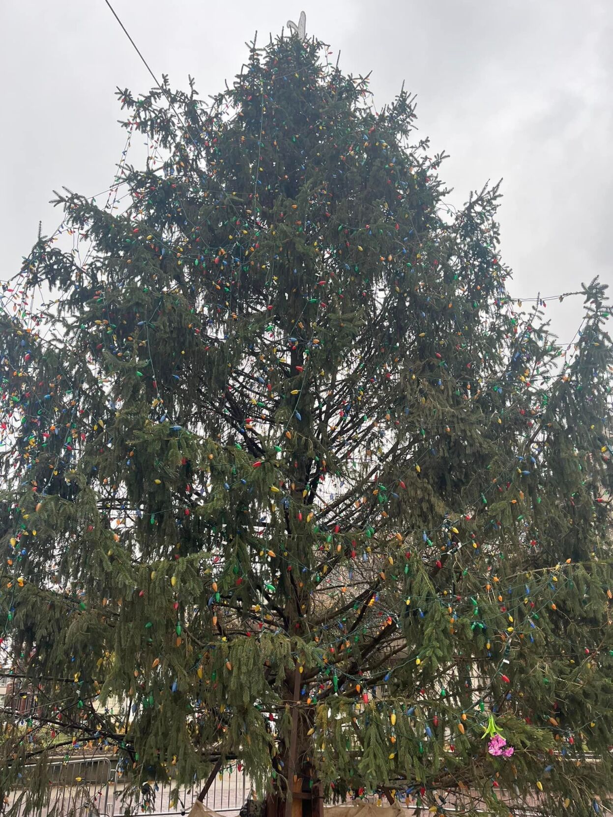 Light Up Louisville Setup