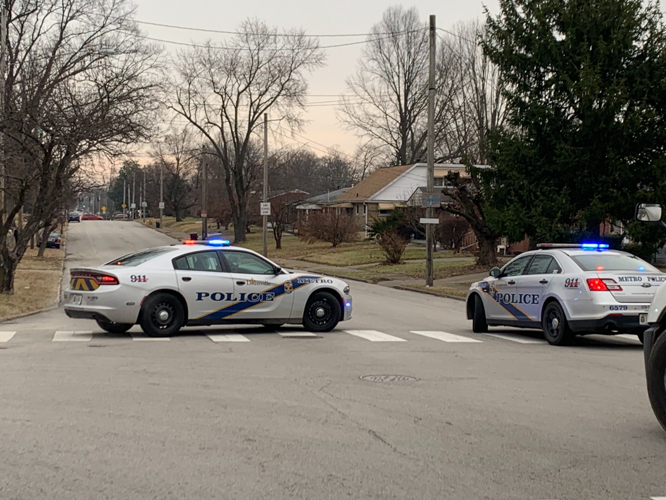 Fatal hit and run investigation Louis Coleman