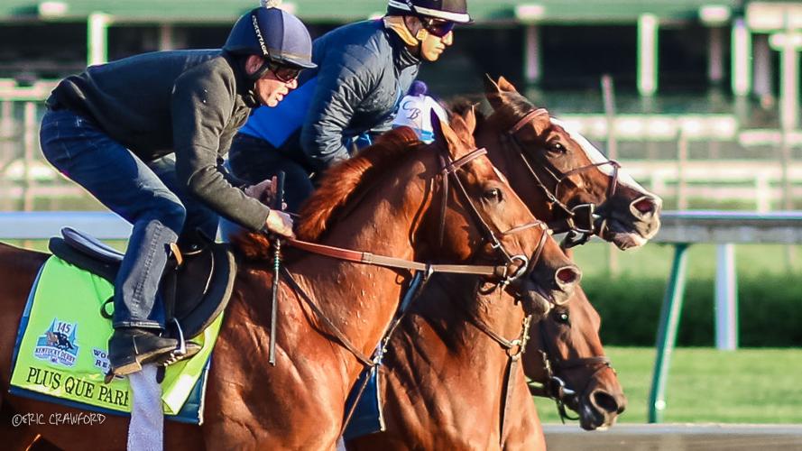 Training - Churchill