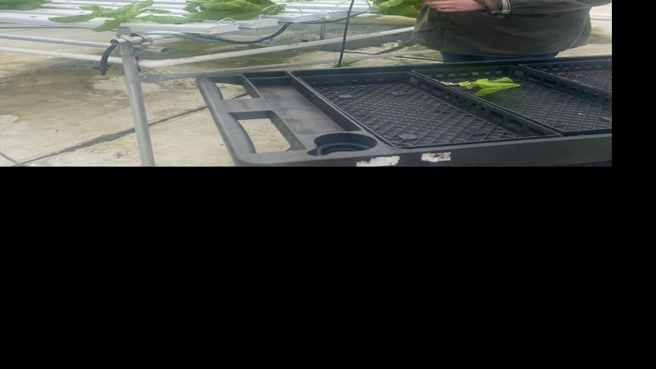 CARROLL COUNTY HIGH SCHOOL - HYDROPONICS GREENHOUSE - COURTESY  (1).JPG