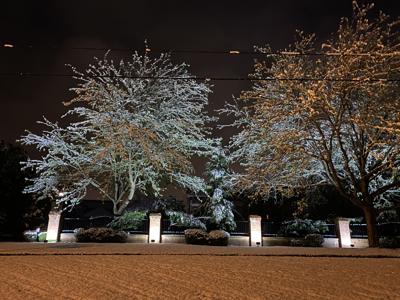 RECORD APRIL SNOW (12).jpg
