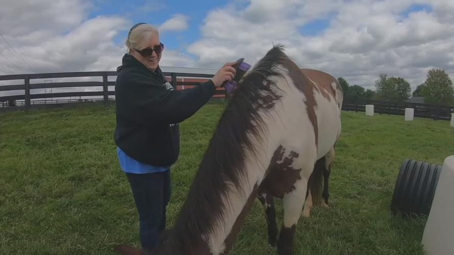 VETERAN EQUINE THERAPY (3).jpg