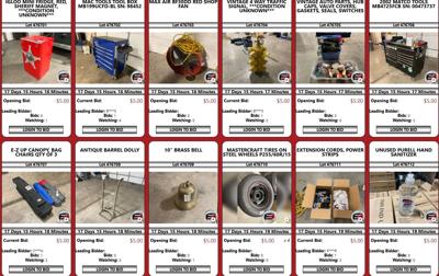Jamey Noel auction.jpg
