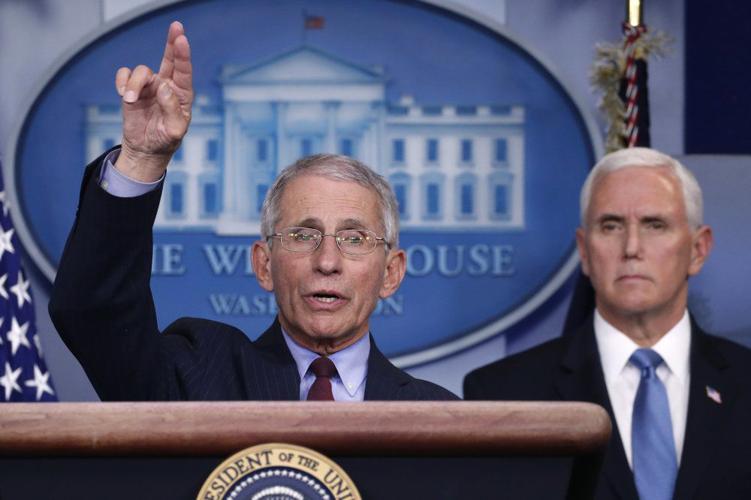 WHITE HOUSE VIRUS TASK FORCE BRIEFING - 3-31-2020 2.jpeg