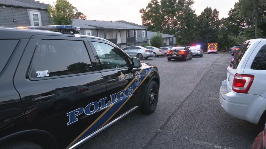 Stabbing at 800 block River Crest Court - 8.11.25