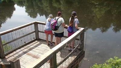 Bernheim Forest