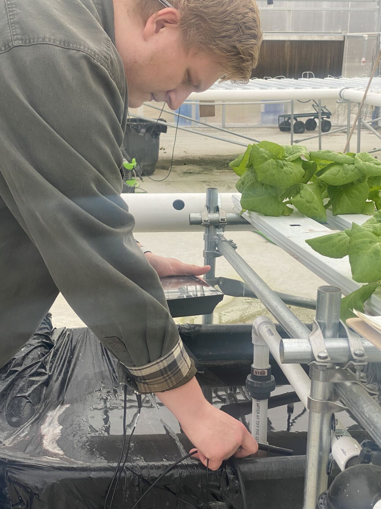 CARROLL COUNTY HIGH SCHOOL - HYDROPONICS GREENHOUSE - COURTESY  (3).JPG