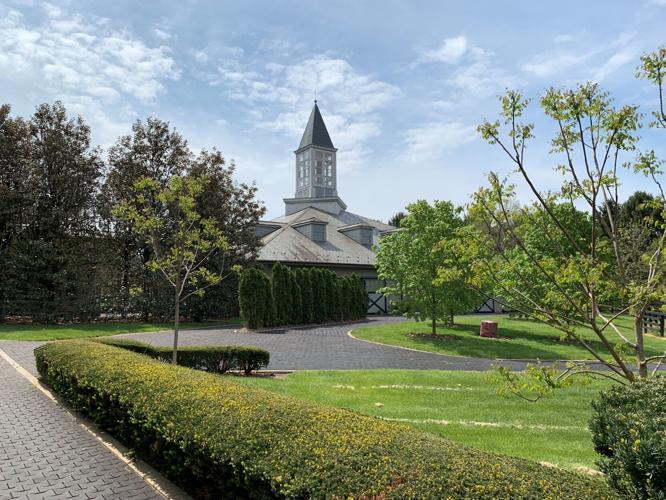 retired derby winners 2