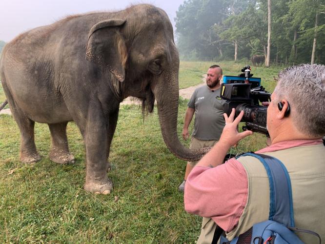 Wilstem Wildlife Park
