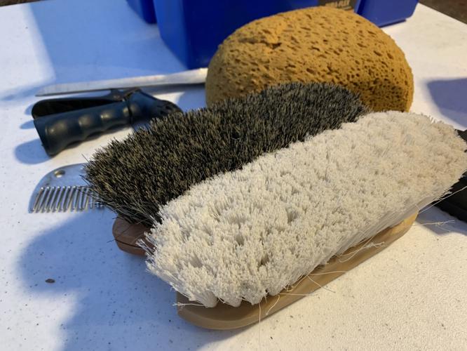 KENTUCKY DERBY MUSEUM - INTERIORS - EXHIBITS - GIFT SHOP -6-10-2020 (17).jpeg