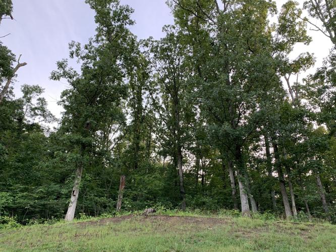 MOSQUITO ABATEMENT - KEITH KAISER - 6-25-19  (6).jpg