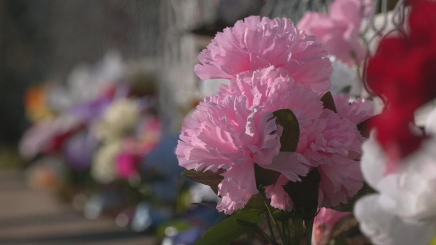 Hope Garden created at Free2Hope