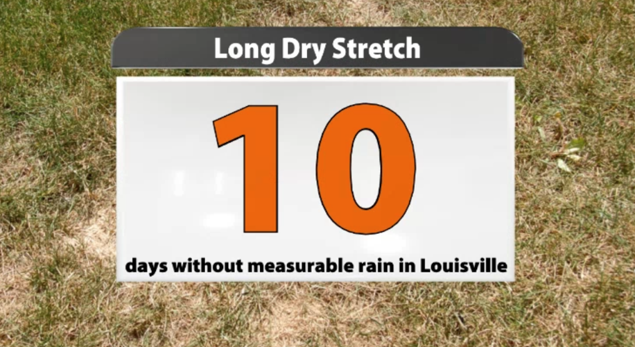 Screenshot 2023-05-31 at 4.07.41 PM.png