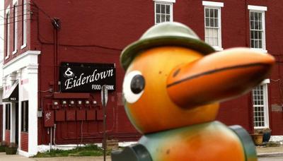 Eiderdown exterior