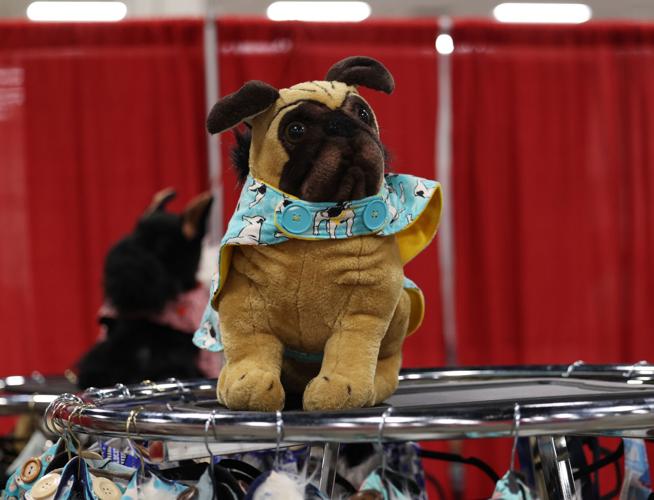 Stuffed animal at Pugfest