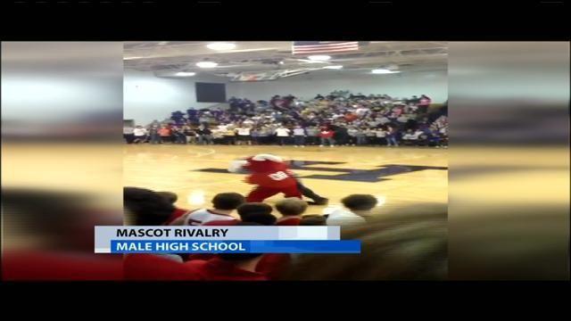 Male Manual Mascot Duel Becomes Brawl News Wdrb Com
