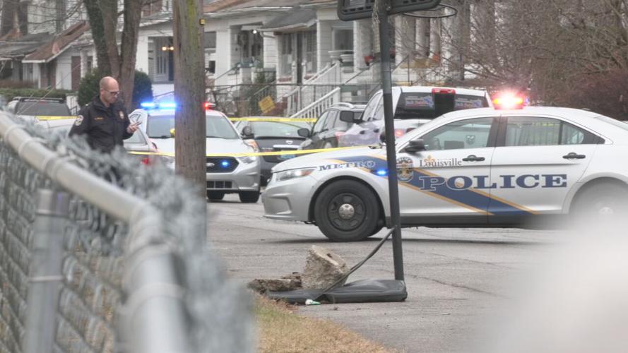 LMPD CRISIS CALL DIVERSION PROGRAM