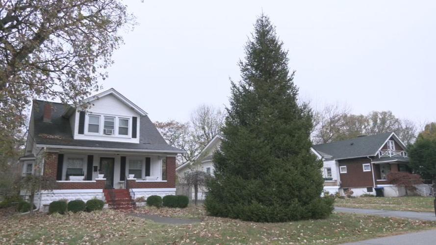 Kaelin family donates Christmas tree for Light Up Louisville event