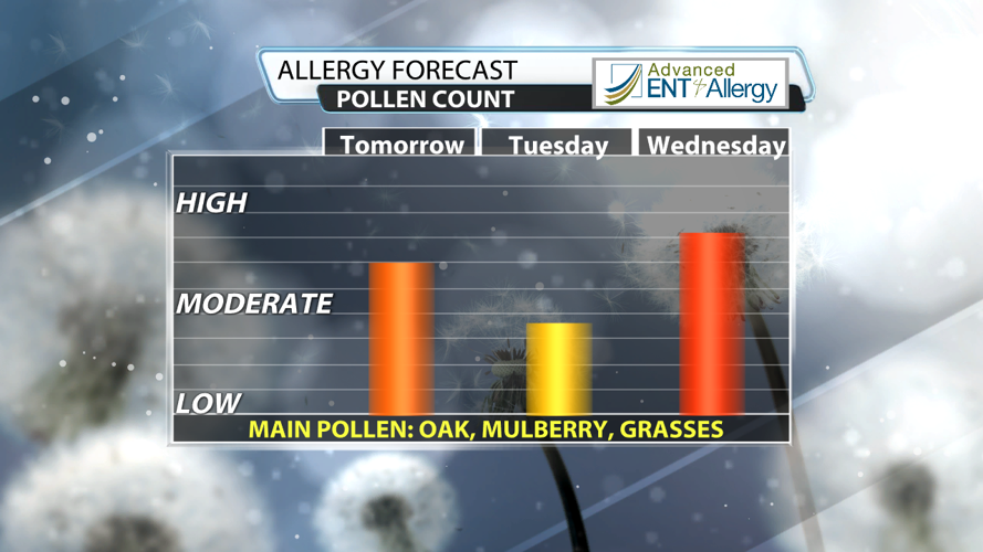 wx050326Pollen Forecast 2015 Evening.png