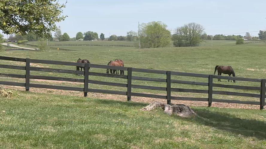 Thoroughbred Retirement Foundation3