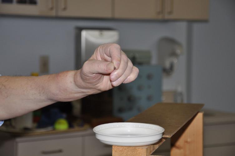 MATTHEW SCOTT - 12 YEAR CHECKUP 2 - COURTESY.jpg