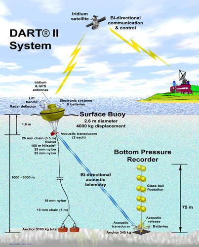 wx121424buoy3.jpg