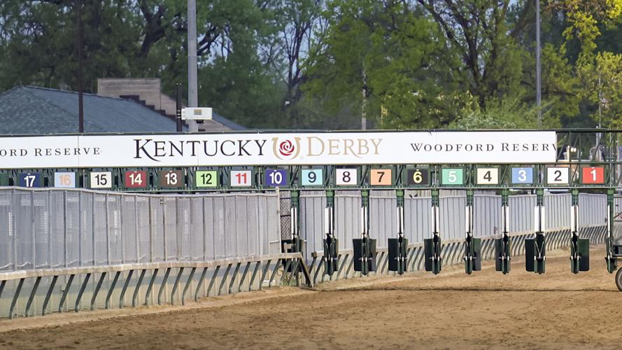 Derby Starting gate
