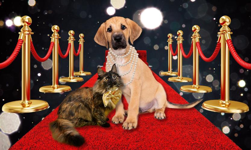 KHS - TUXES AND TAILS - 2022.jpg